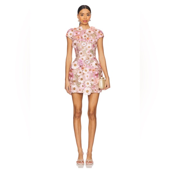 Bronx and Banco Dresses & Skirts - New Bronx and Banco Jasmine Embroidered Floral Applique Mini Dress